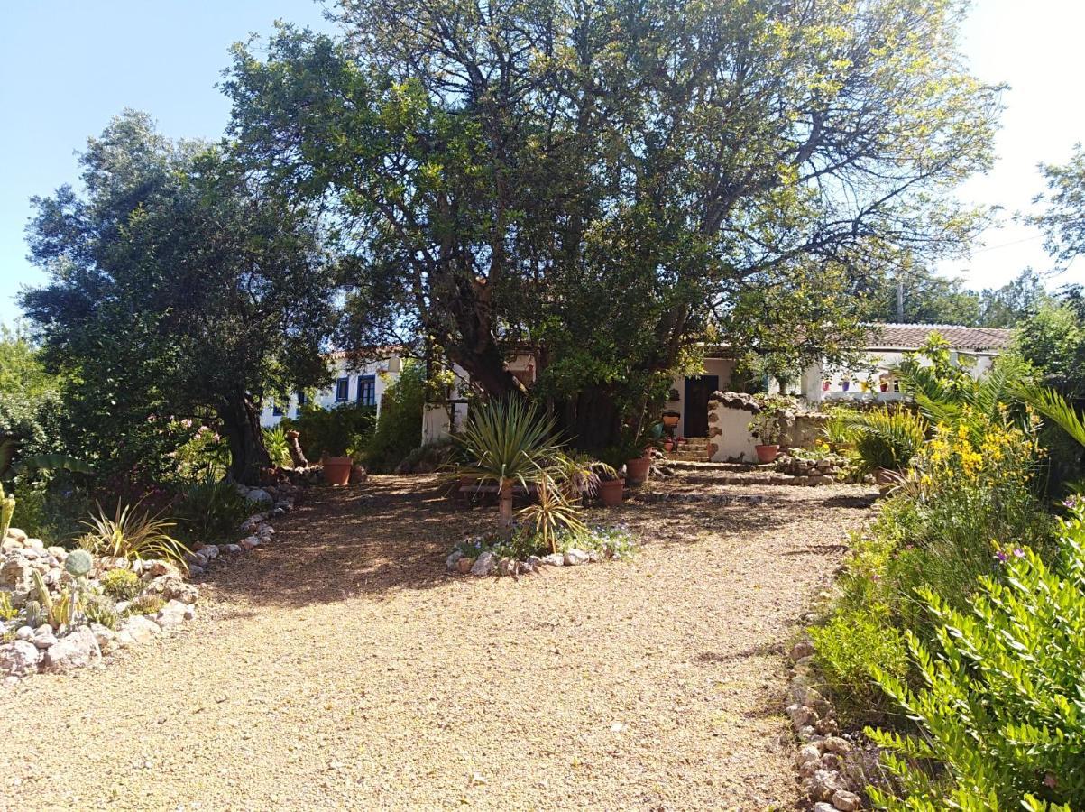 QuerencaQuinta Dos Valados住宿加早餐旅馆 外观 照片
